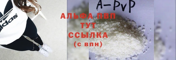 трава Белокуриха