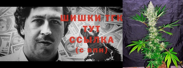 трава Белокуриха