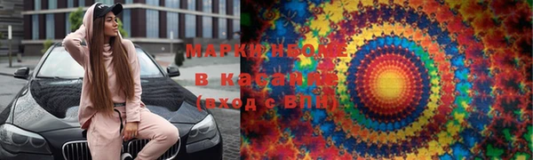 трава Белокуриха